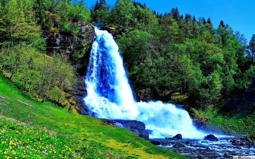 Waterfalls in Kerala: Nature’s Cascading Wonders
