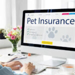 Pet Insurance in Calgary: Cost, Coverage & Benefits