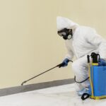 What Professional Pest Inspections Actually Uncover