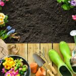 The Ultimate Spring Garden Awakening: A Comprehensive Guide to Restoring Your Outdoor Sanctuary