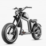 Entdecken Sie das ultimative Fahrerlebnis mit einem Fatbike E-Bike