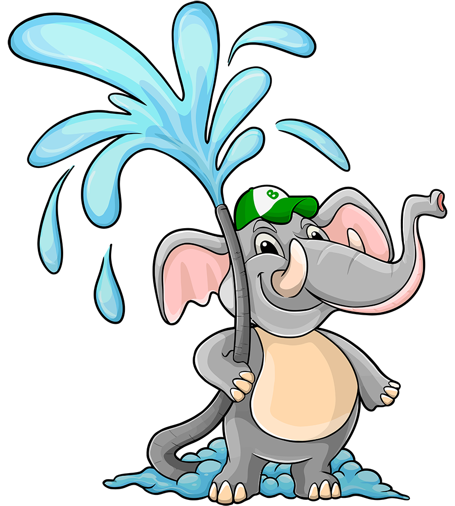 Professional Bin Cleaning Services for a Healthier, Odor-Free Home