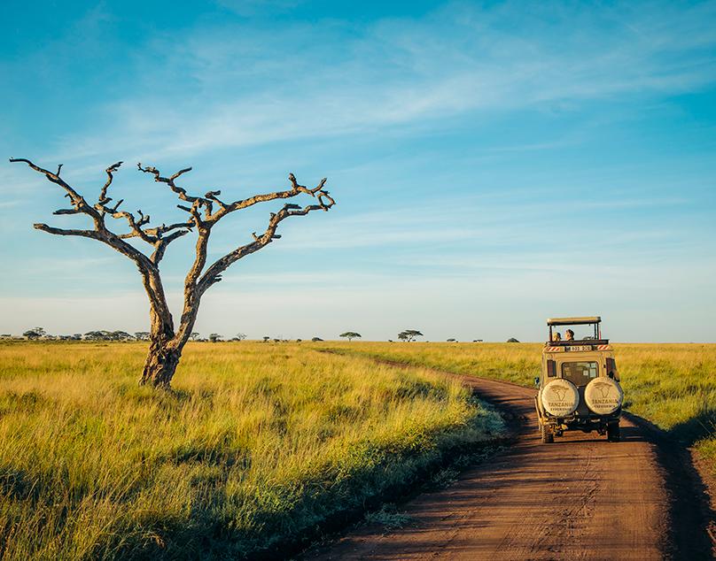 Tanzania eVisa for Micronesia Citizens