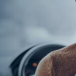 Modern Parking Technology Elevating the Hotel Guest Experience