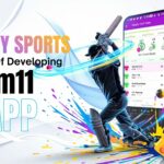 Fantasy Sports Success Blueprint: Developing a Dream11 Clone App