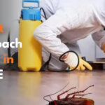 Best Cockroach Killer in UAE