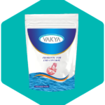 Probiotic Sachet and Suspension: The Smart Daily Solution for Better Gut Health