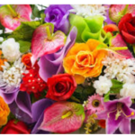 Hoarding Cleaning Services Canada: Restoring Safe and Healthy Homes