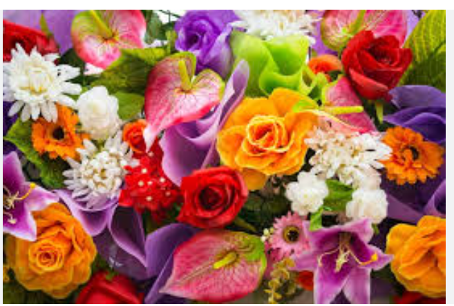 Hoarding Cleaning Services Canada: Restoring Safe and Healthy Homes