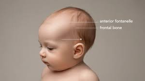 When to Worry About Baby’s Soft Spot: Signs to Watch