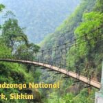 Wildlife Sanctuaries & National Parks: Guardians of Nature and Biodiversity