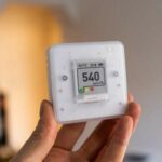 How to Detect and Prevent Mold Before It Becomes a Problem?