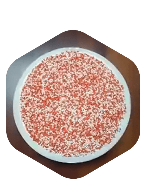 Dexlansoprazole Pellets Supplier in India – Trusted Quality from Srinag Pharma