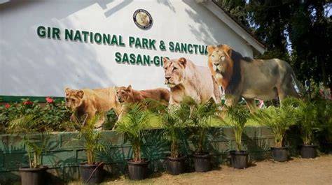 Gir National Park Tour Packages: A Complete Guide to the Land of Asiatic Lions
