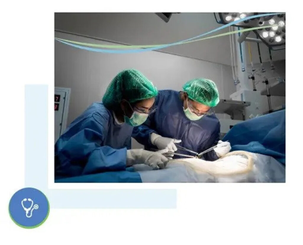 gynaecologist oncology