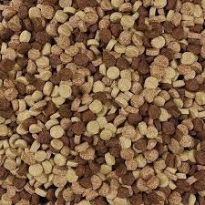 Why You Should Buy Pet Food in Bulk: Benefits for Pet Owners