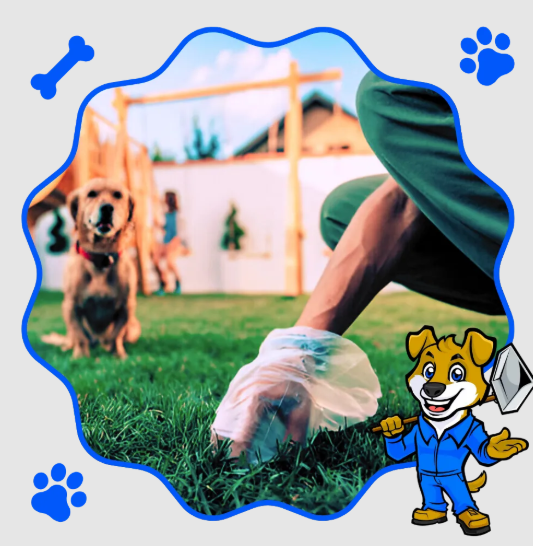 Keep Your Yard Clean with the Best Dog Pooper Scooper Services