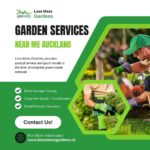 Professional Garden Services Near Me Auckland – LessMessGardens