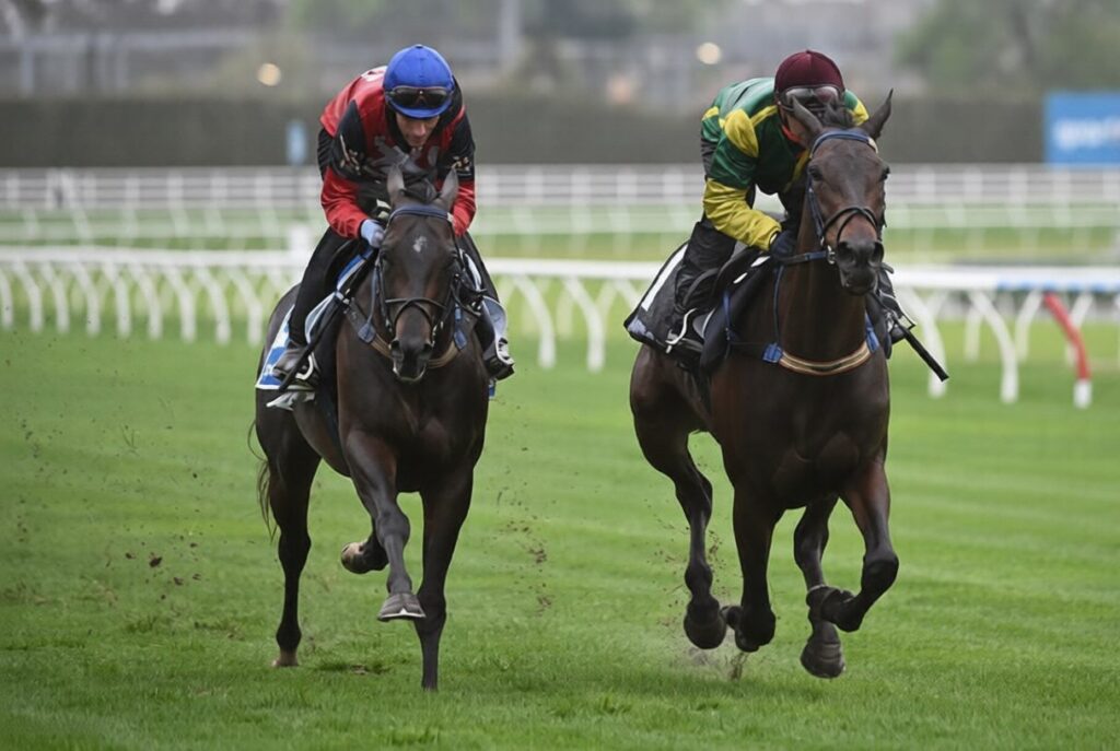 Choosing the Right Australian Betting App in 2026