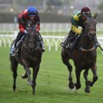 Choosing the Right Australian Betting App in 2026