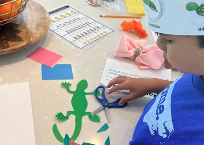 Could Daycare Curriculum Kits Be the Missing Piece in Early Childhood Education?