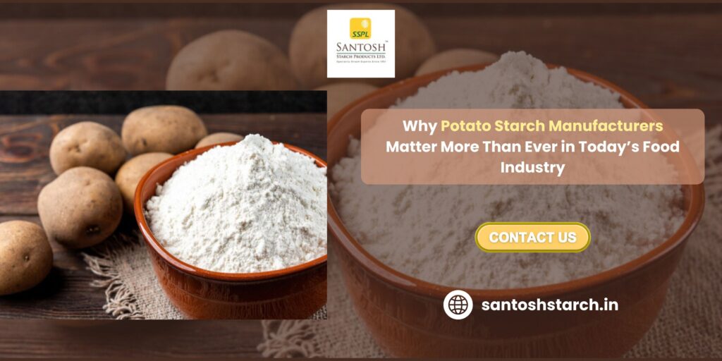 Why Potato Starch Manufacturers Matter More Than Ever in Today’s Food Industry