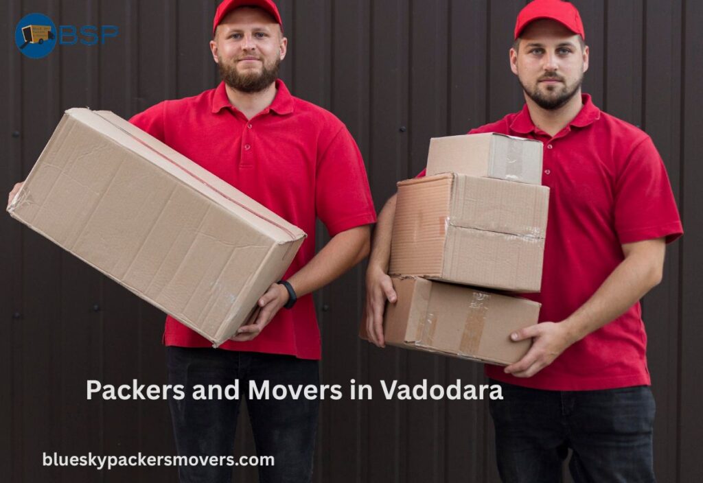 Best Packers and Movers in Vadodara | Blue Sky Packers and Movers