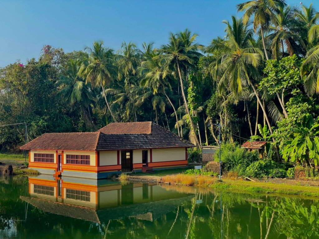 Best Resorts in Munnar for Couples