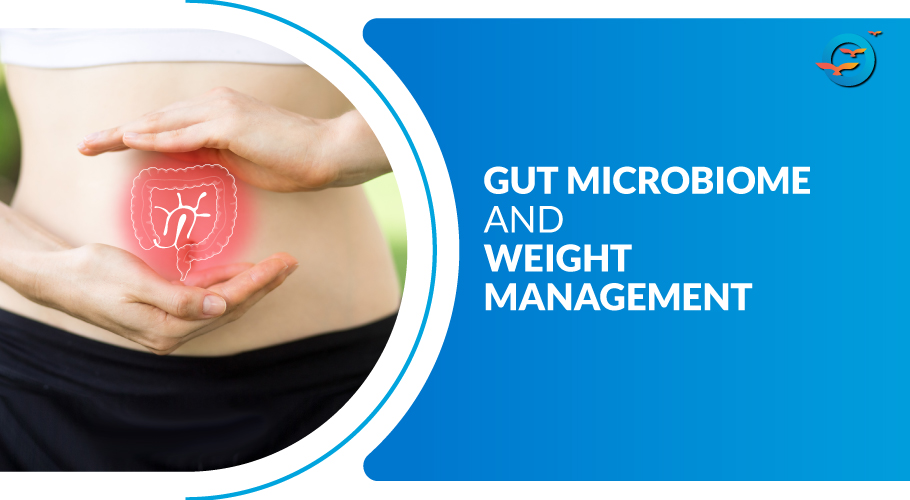 What is the Role of the gut microbiome in weight management