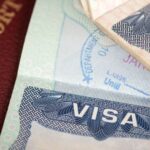 How to Get A Parent Visa in Australia: The Ultimate Guide 2026
