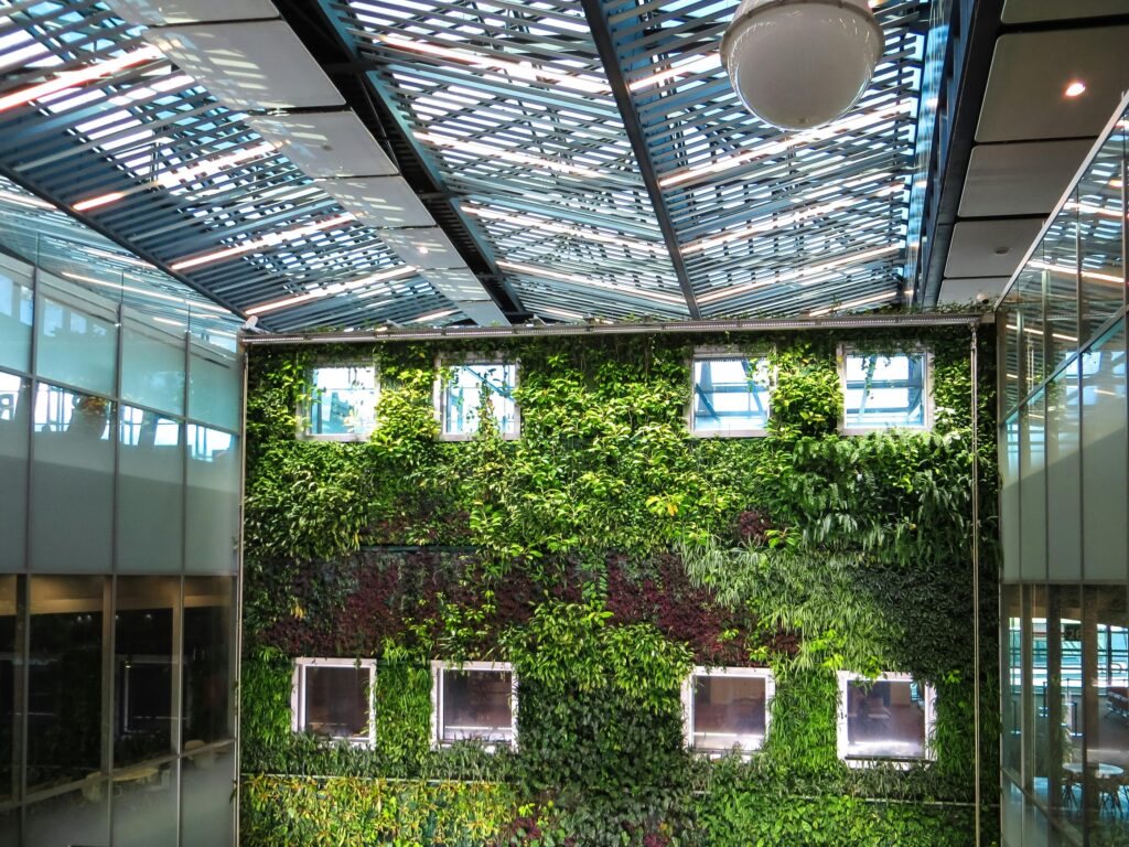 Biophilic Design & Nature Indoors: A Complete Guide for Designers
