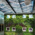 Biophilic Design & Nature Indoors: A Complete Guide for Designers