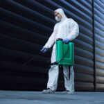 Top 5 Qualities of Reliable Pest Control Companies in Las Vegas