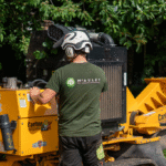 Need Trusted Firewood Suppliers & Tree Surgeons in NI Today?