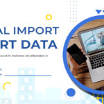 How Customs Data Reveals Market Opportunities