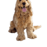 Managing Outdoor Injuries in Dubai’s Urban Environment