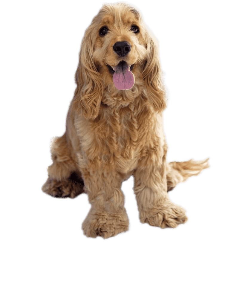 Managing Outdoor Injuries in Dubai’s Urban Environment