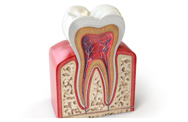 How Root Canal Treatment Saves Natural Teeth