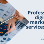 Professional Digital Marketing Services in Hisar