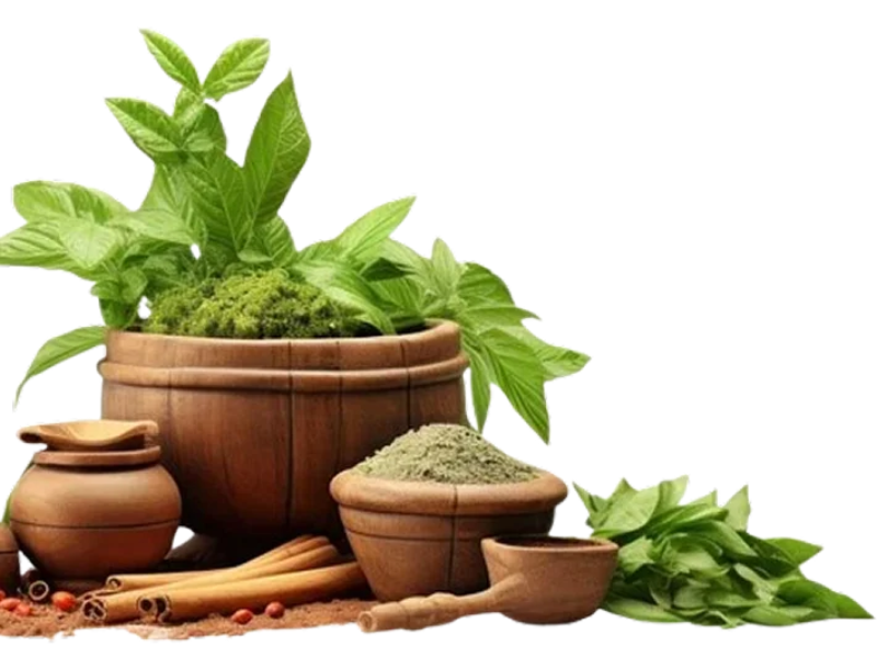 Top Ayurvedic Manufacturing Company for Safe & Effective Herbal Solutions