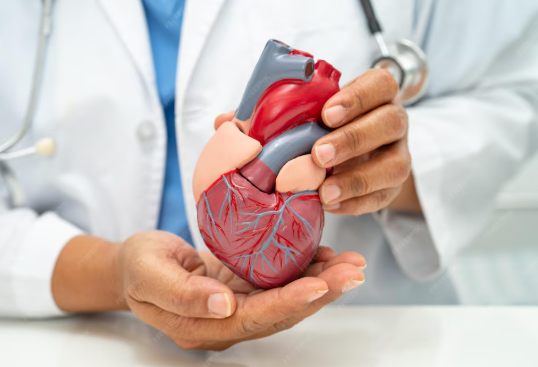 Affordable Heart Specialist in Jaipur Offering Effective Heart Wellness Solutions