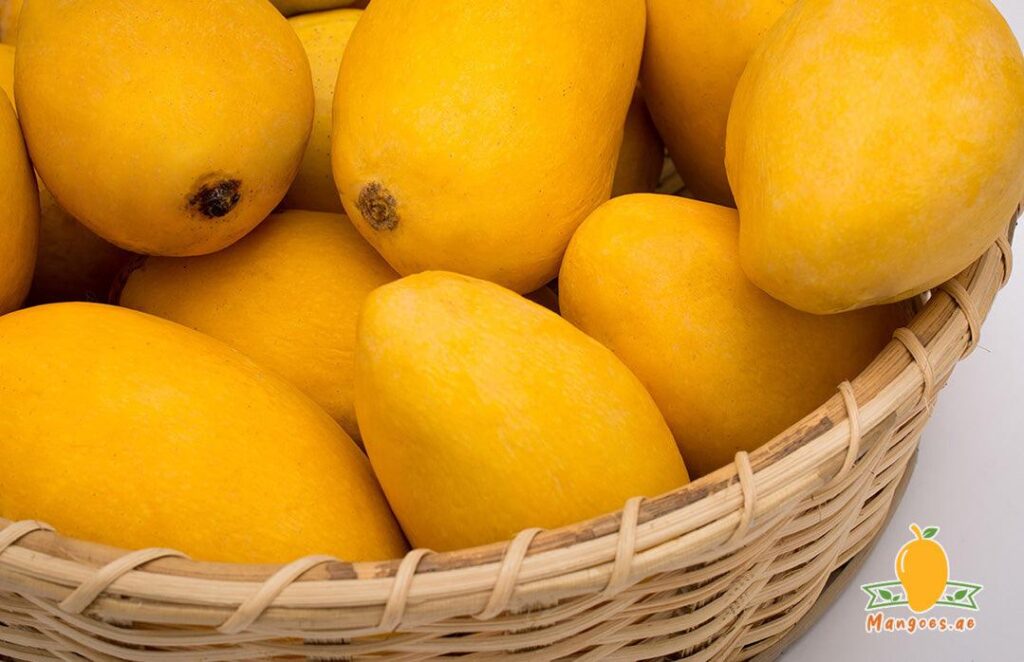 Dry Mango Companies in Pakistan the Industry, Brands, and Opportunities