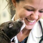 Pain Medicine for Dogs: Safe Solutions to Ease Your Pet’s Discomfort