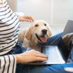The Ultimate Guide to Shopping at an Online Pet Store