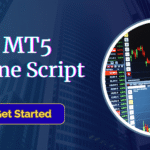 MT5 Clone Script with Secure API Integration and Liquidity Management