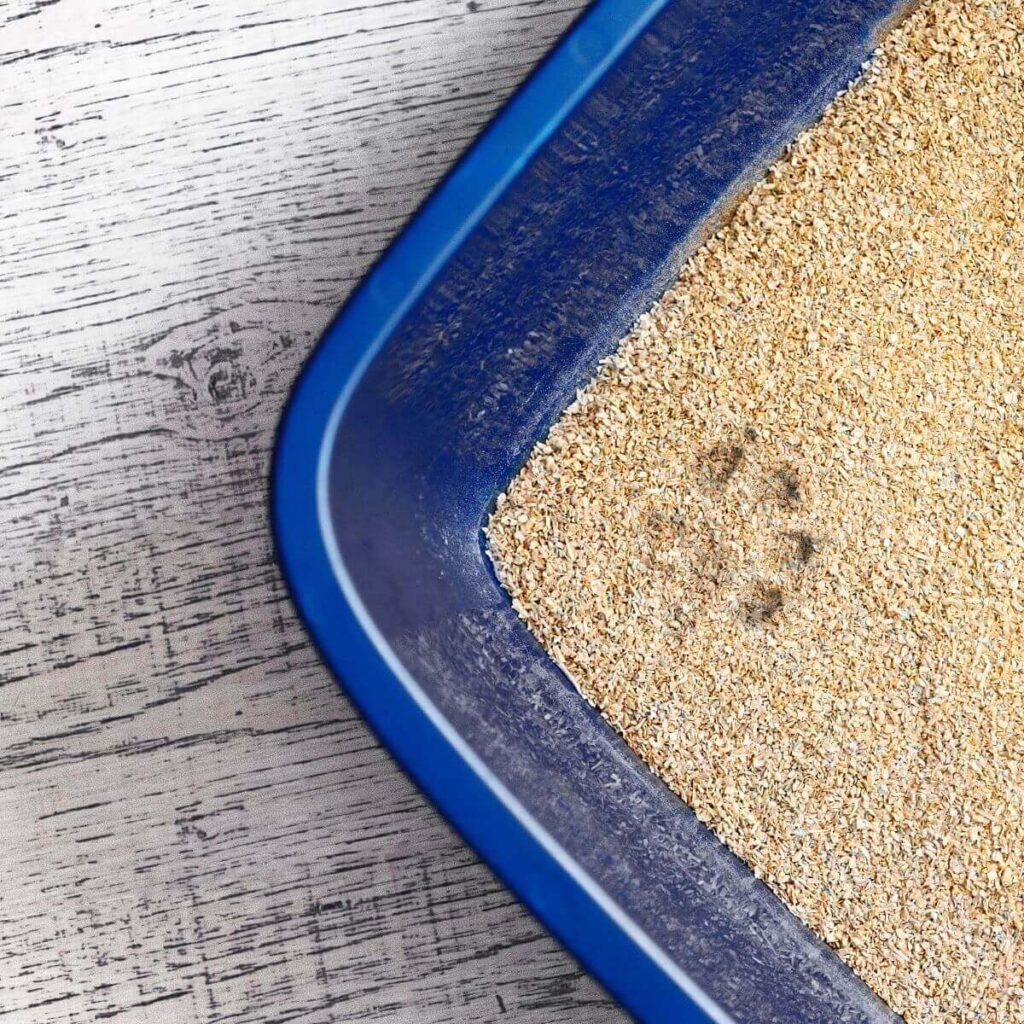 Cat Litter Manufacturing Plant Setup Report 2026: Unit Operations, Machinery Requirements and Cost Analysis