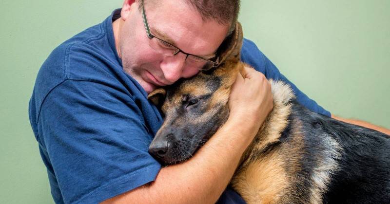 How Do Pets React When A Fellow Animal Passes Away?