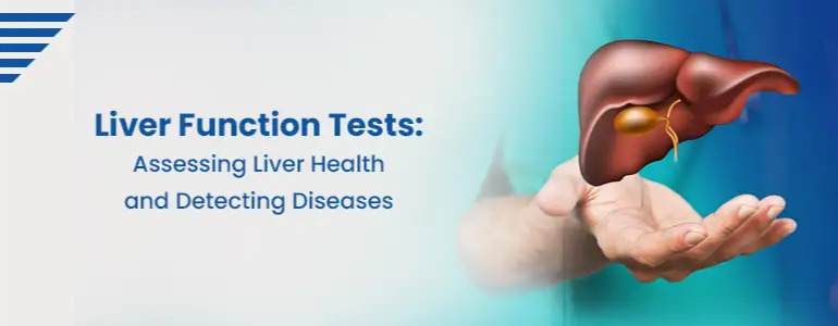 Liver Function Test in Hyderabad – Accurate LFT Testing at Sprint Diagnostics