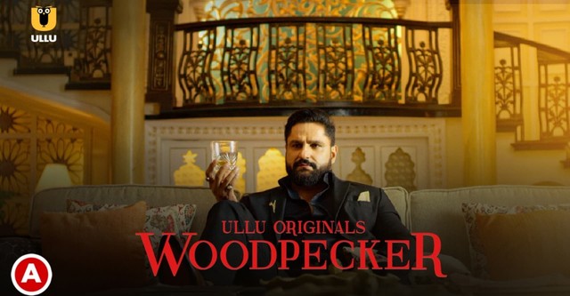 Top 15 Ullu Best Webseries You Must Watch in 2026 – Most Popular & Bold Shows