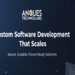 Custom Web Application Development for Scalable Businesses